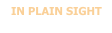 IN PLAIN SIGHT