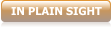 IN PLAIN SIGHT