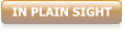 IN PLAIN SIGHT