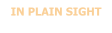 IN PLAIN SIGHT